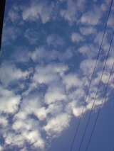 ab18c13a.jpg