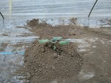 IMG_20180506_163159