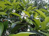 IMG_20180502_091126