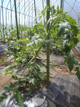 P4200514