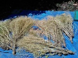 IMG_20180426_104741