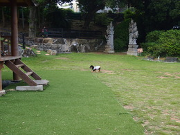 P7150724