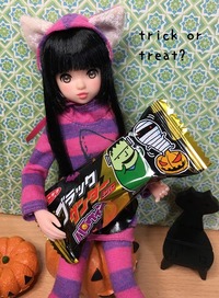 IMG_1237_50_50
