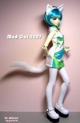 modcat1