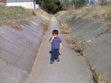 ditch