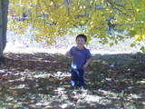 fall