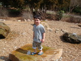 botanical garden