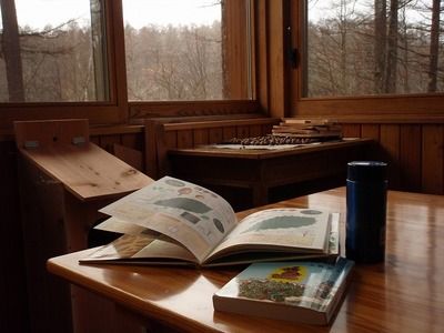 雨に図書室