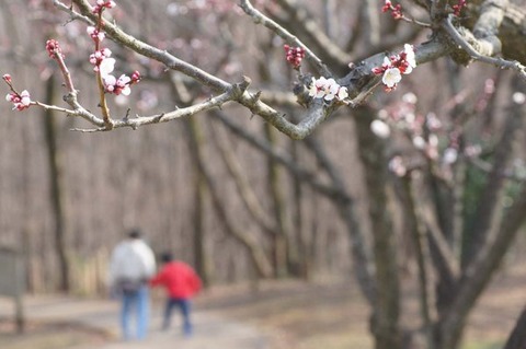 小宮公園②