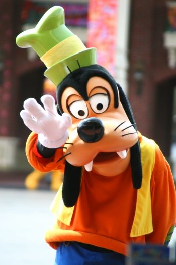 s-yyIMG_4264