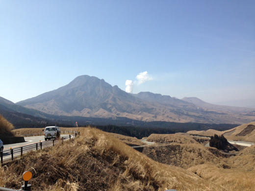 image_8