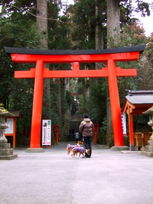 箱根神社