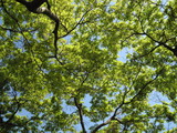 06c58590.JPG