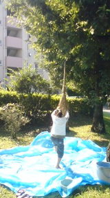 donguri3