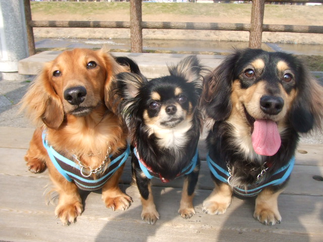 3ワンショット