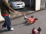 お散歩♪