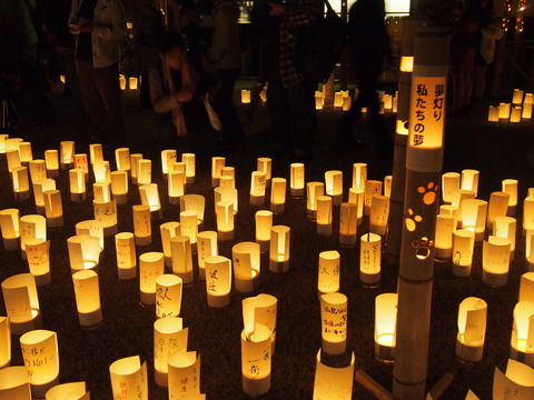憧憬の路2014 (21)