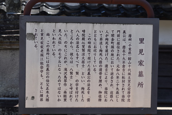 GW倉吉 (8)