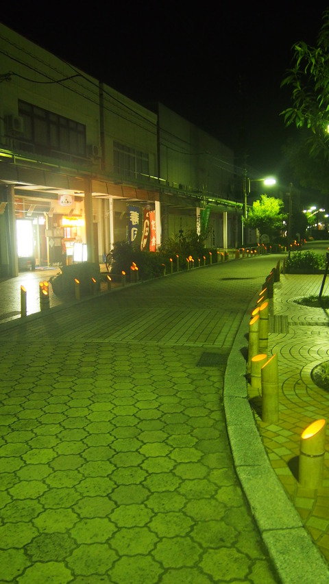 憧憬の路2014 (46)