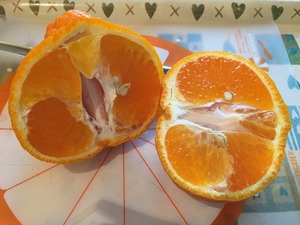 写真 2017-04-09 7 25 27