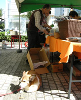 DSCN9004