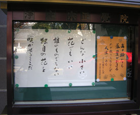 DSCN4794