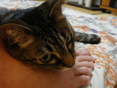 何か文句ある〜?