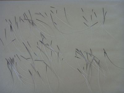 髭(ひげ)