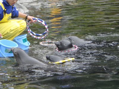 箱根園 水族館