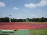 16a53ced.jpg
