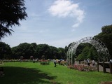 19d75897.jpg