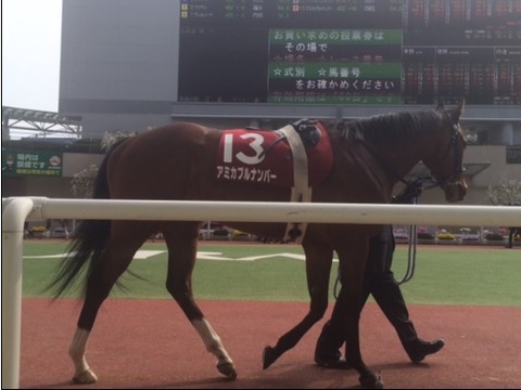 140416 阪神牝馬S