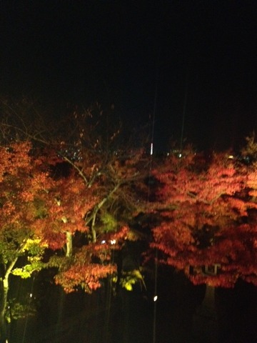 121124 夜景3