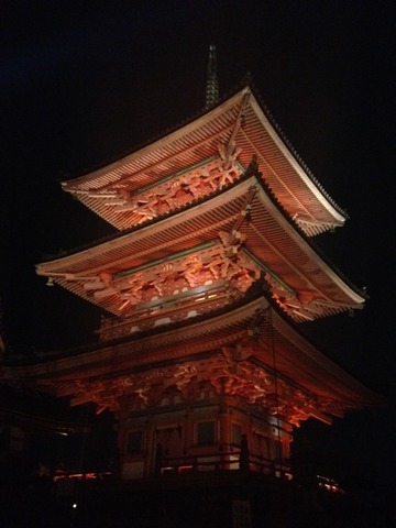 121124 夜景2