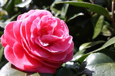 IMG_8841