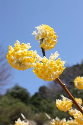 IMG_8827