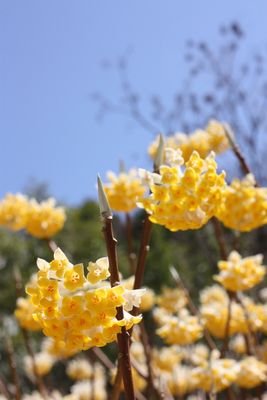 IMG_8831