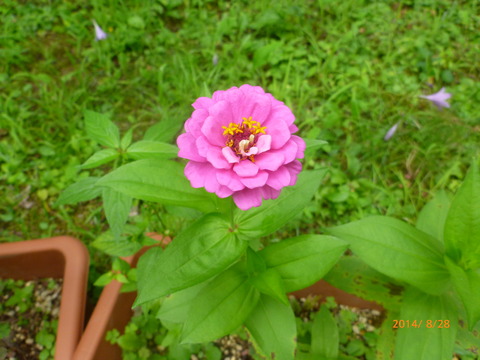 P1090742