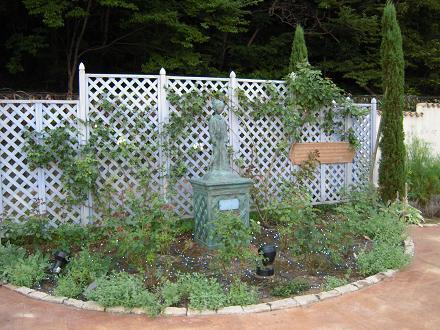 DSCN9073.jpg