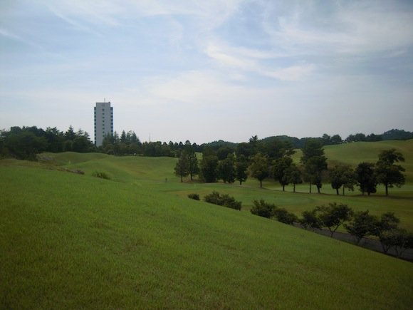DSCN2781