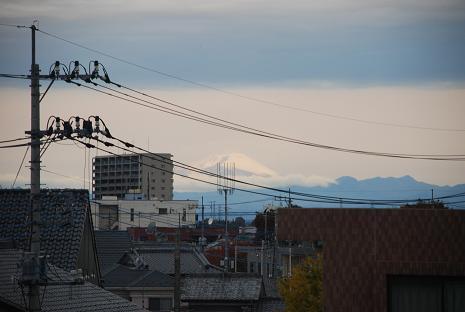 DSC_0078_20121124163946.jpg
