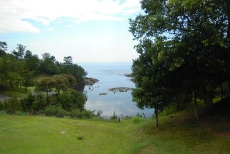 DSCN9545.jpg