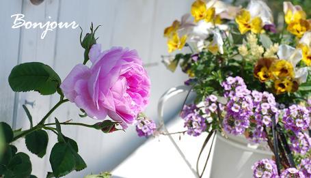 a1_20130428103500.jpg