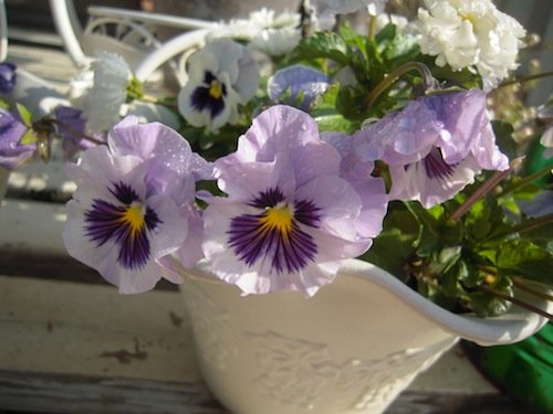 DSCN5453