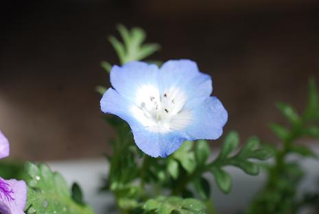 DSC_0330.jpg