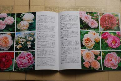 DSC_0085_20130424174318.jpg
