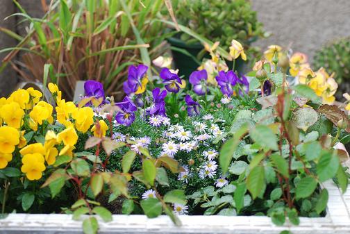 DSC_0074_20130424174402.jpg