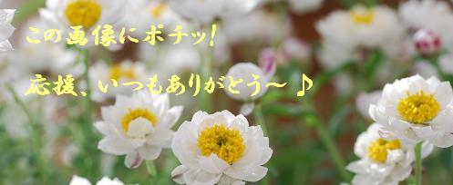 にほんブログ村 ライフスタイルブログ スローライフへ