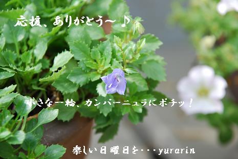 にほんブログ村 ライフスタイルブログ スローライフへ