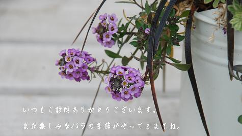 a1_20130324115943.jpg